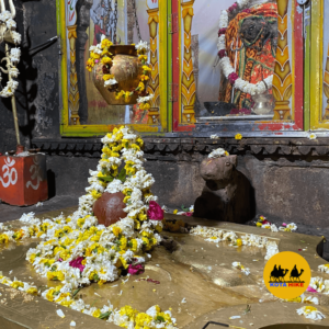 Read more about the article Kota City Kansua or Karneshwar Temple